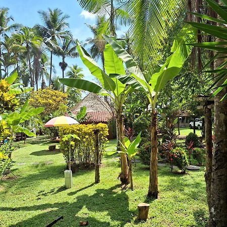 Hotel Rancho Burica Pavones  Esterno foto
